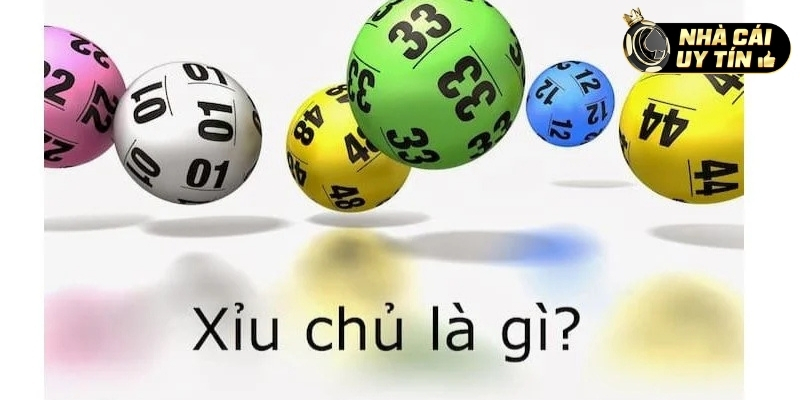 Thống kê xỉu chủ miền Nam giải đặc biệt 