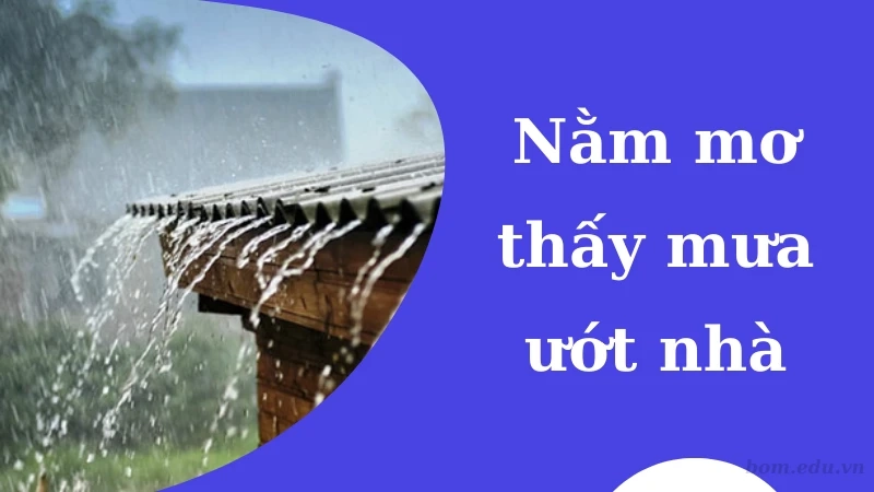 Khi mơ thấy trời có mưa thì đánh số nào?